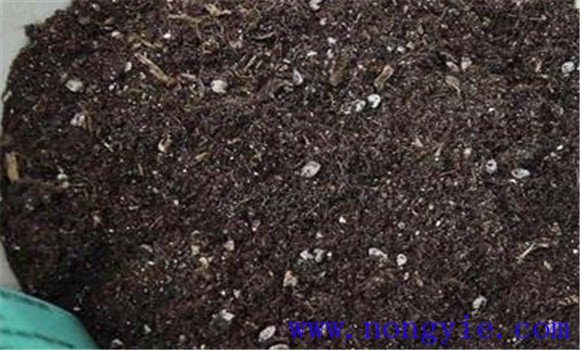 栽培花花如何進(jìn)行盆土調(diào)制