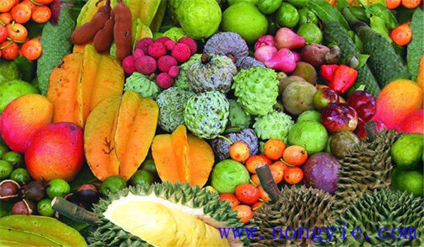 一般熱帶果樹(shù)（水果）