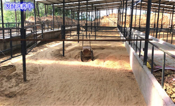 發(fā)酵床養(yǎng)殖技術(shù)的兩大目標