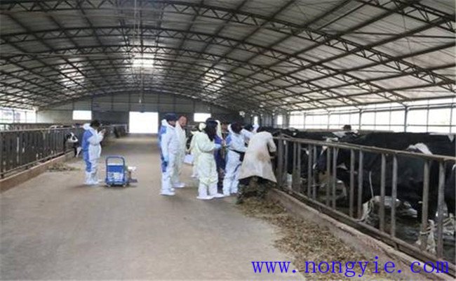 定期進(jìn)行預(yù)防接種、檢疫