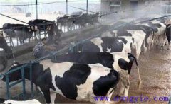 通風(fēng)對奶牛產(chǎn)奶與健康有什么影響？