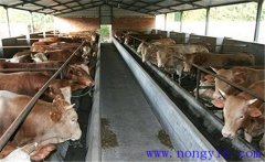 如何防止奶牛場糞便污染？