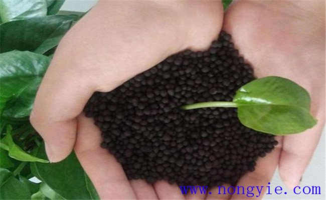 顆粒有機(jī)肥燒根嗎？