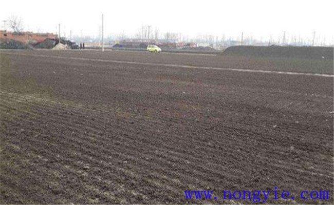 顆粒有機(jī)肥和粉狀有機(jī)肥哪個(gè)好