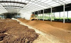 雞糞喂豬的可行性研究,幾種雞糞喂豬的方法