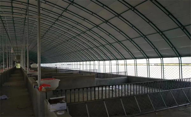 塑膜暖圈的建設方法，塑膜暖圈養(yǎng)豬的優(yōu)點