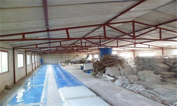 豬舍怎么建最好？標準化豬舍內(nèi)部建筑特點