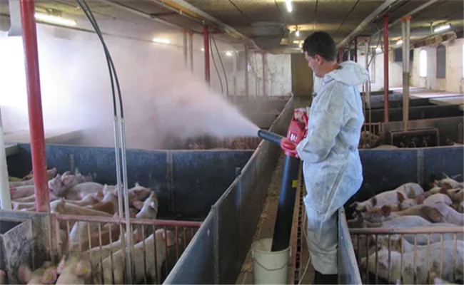 免疫注射前應(yīng)對針頭進(jìn)行蒸汽消毒