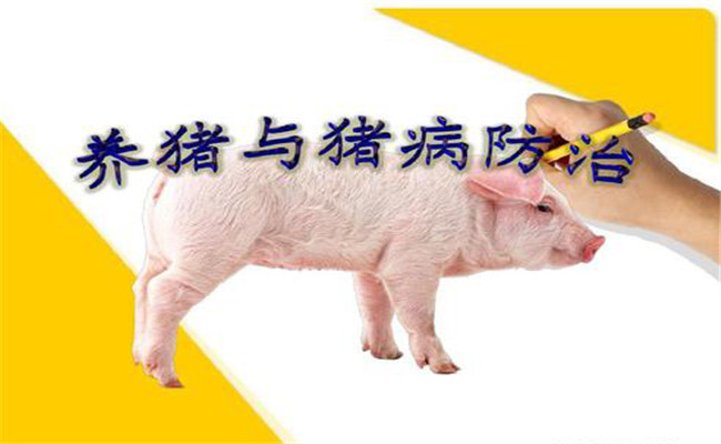 養(yǎng)豬與豬病防治與診斷