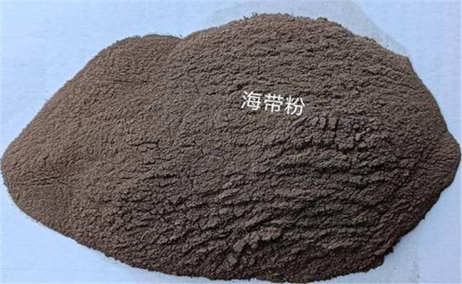 用海帶粉作飼料添加劑可改進飼料的營養(yǎng)結構