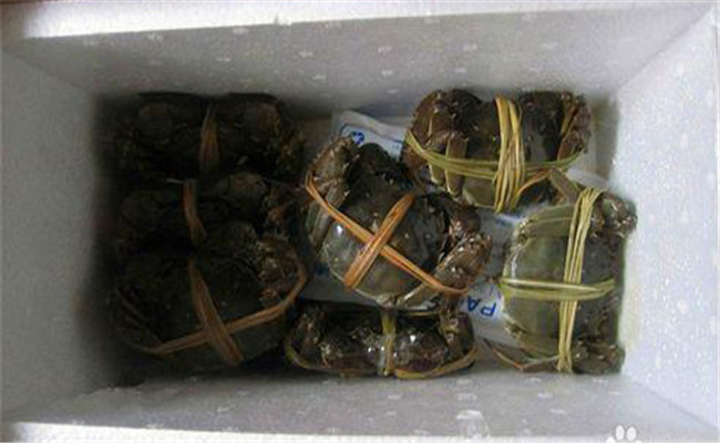 梭子蟹怎么保鮮