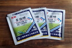 如何正確使用多效唑，用多了發(fā)生藥害怎么辦？
