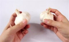 怎樣種植大蒜？大蒜栽培技術(shù)十大要點(diǎn)