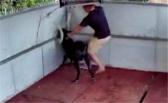 公羊頂人是什么原因引起的，公羊頂人怎么辦？