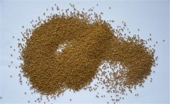 泥鰍的飼料以什么為主？養(yǎng)殖泥鰍的飼料建議配