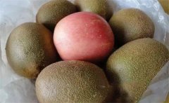 獼猴桃怎么催熟，獼猴桃不能和什么一起吃