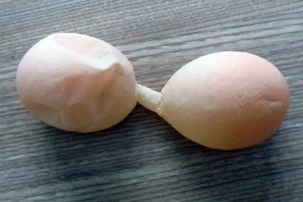 雞下軟蛋怎么辦、如何防治