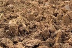 酸性土壤有哪些危害，酸性土壤如何改良？