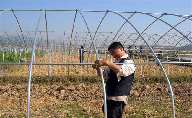 大棚骨架如何制作