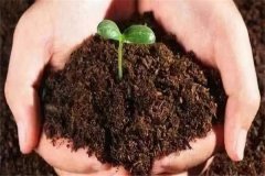 生活中有哪些有機(jī)肥可以利用？