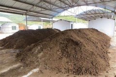 農(nóng)家肥是什么？農(nóng)家肥有優(yōu)點有哪些？