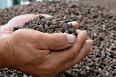 雞糞肥屬于有機肥嗎？雞糞肥和羊糞肥哪個好？