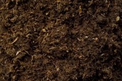 什么是基質土 基質土的配制方法是什么？