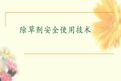 除草劑安全使用要點(diǎn) 發(fā)生除草劑藥害如何補(bǔ)救？