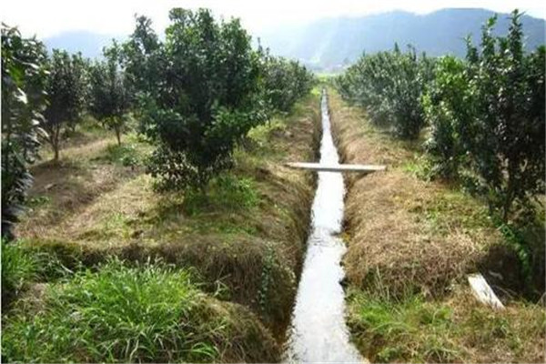 果園合理灌、排水