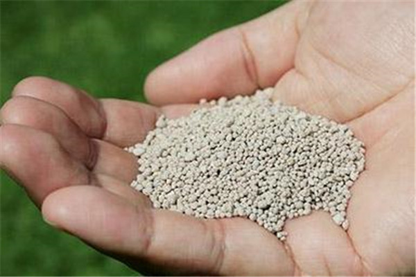 鉀肥的種類(lèi)與作用