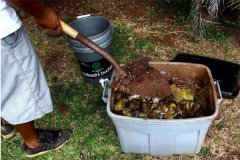 如何自制花肥？家庭養(yǎng)花自制花肥的小妙招