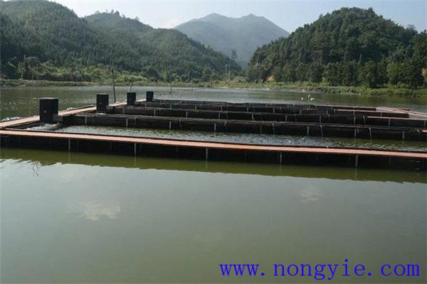 科學(xué)使用藥物，預(yù)防疾病發(fā)生