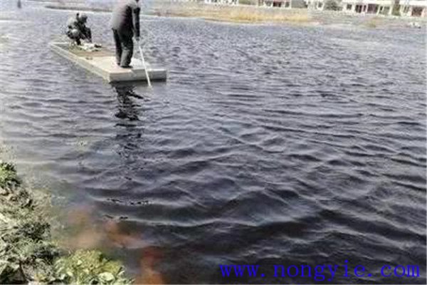 把好魚(yú)病預(yù)防關(guān)