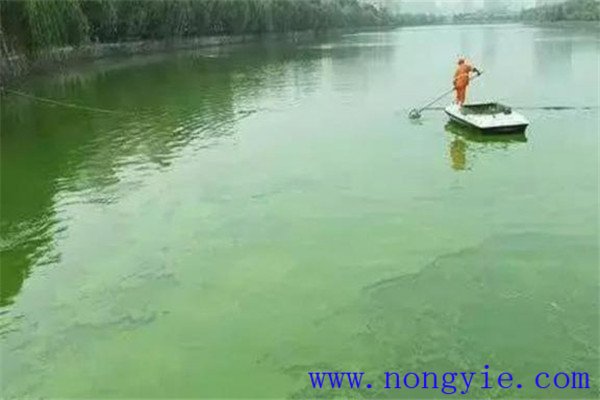 調(diào)，即調(diào)節(jié)水質(zhì)