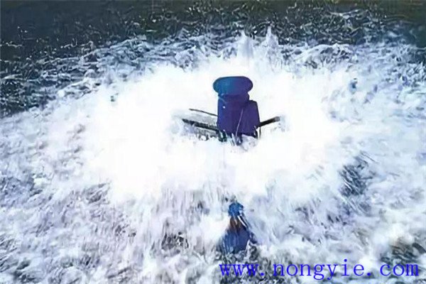 保，即保魚(yú)蝦健康