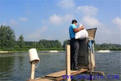 如何讓魚安全越冬，并降低魚體越冬期失重