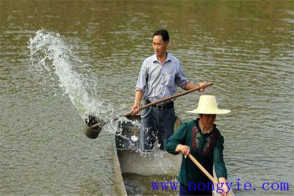 加強(qiáng)病害防治、講究安全用藥