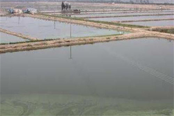 水的PH值調節(jié)