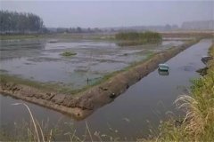 稻田青蝦、河蟹混合立體養(yǎng)殖技術(shù)簡介