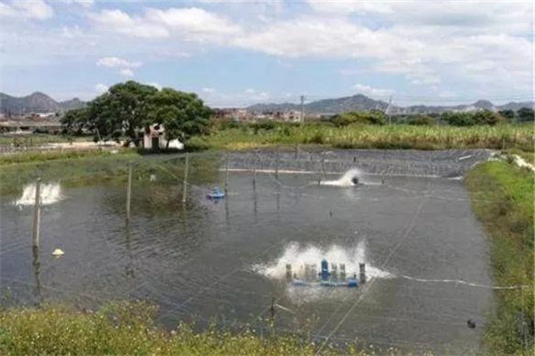 實行以水控溫調氧