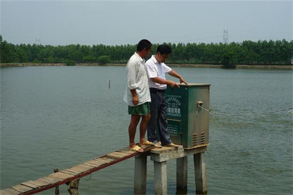 分階段科學投餌