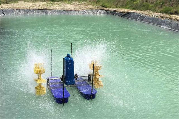 適時(shí)換水，科學(xué)增氧