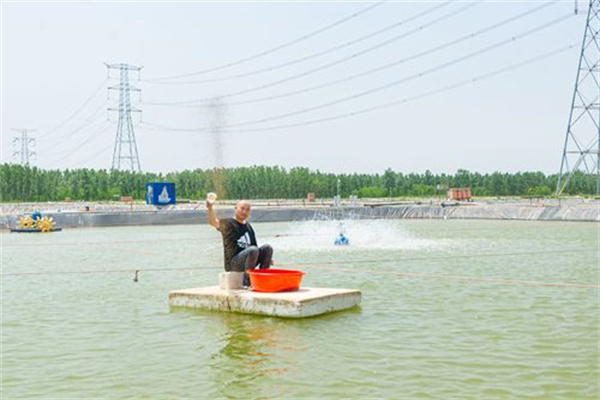 投喂優(yōu)質(zhì)飼料、控制飼料量