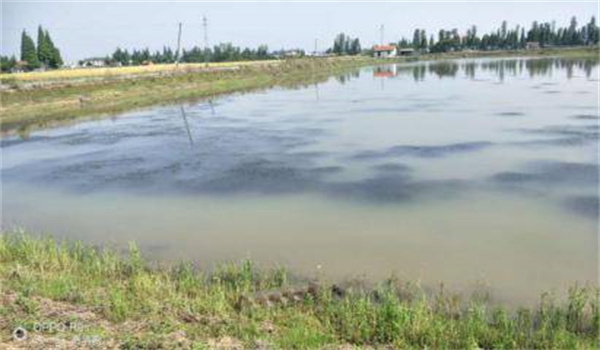 河蟹養(yǎng)殖水體的特點