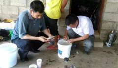 魚病治療中的發(fā)現(xiàn)、送診、用藥問題