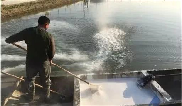 如何使用含氯藥物防治魚(yú)病