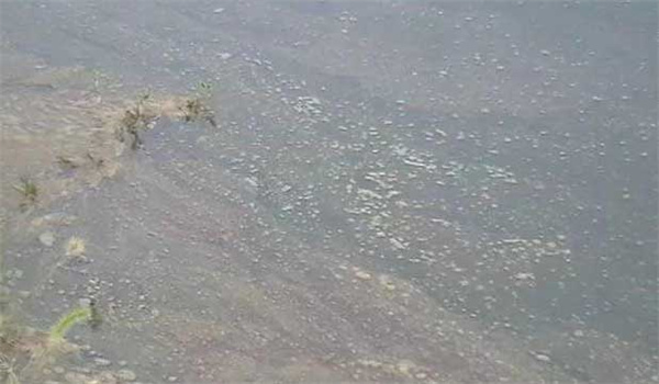 養(yǎng)殖池塘缺氧的原因是什么，有哪些防范措施