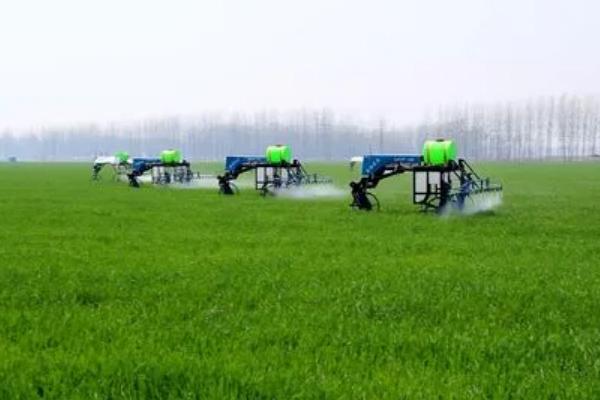 蚍蟲啉對人體毒性大嗎