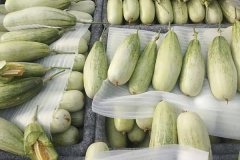 羊角蜜甜瓜什么時(shí)間成熟上市，怎么看熟不熟？