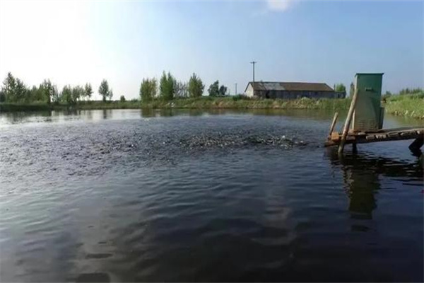 魚池面積、水深和底質